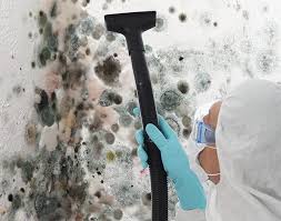 Best Mold Odor Removal Services  in Soquel, CA